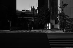 Alone Tokyo