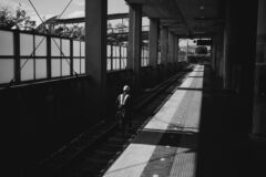 20240904 At Woody Town Chuō Station
